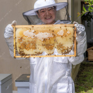 beekeeper 2983604