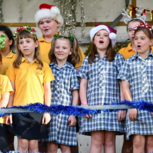 carols 2990140