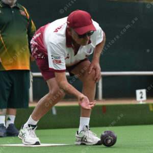 lawnbowls 2993472