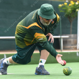 lawnbowls 2993473