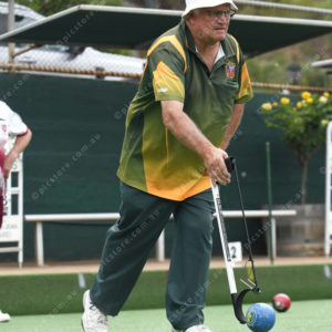 lawnbowls 2993475