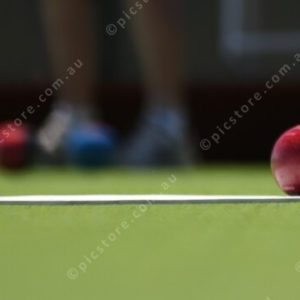 lawnbowls 3001058