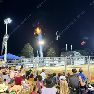Bullride 3010941