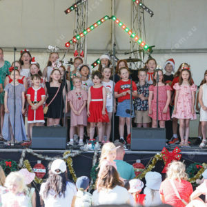 Carols25 3007129
