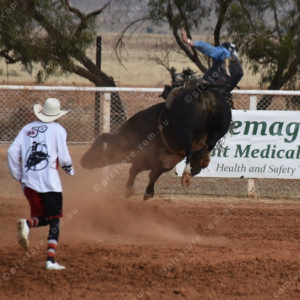 PBRodeo 3012422