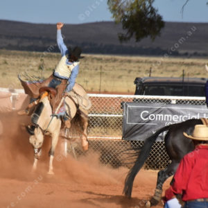 PBRodeo 3012430