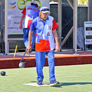 bowls 3018804