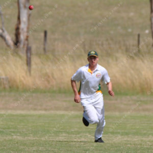 cricket 3007814