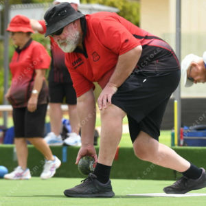 lawnbowls 3012358