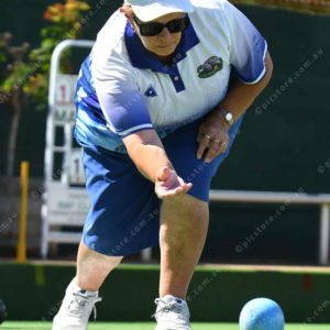 lawnbowls 3017058