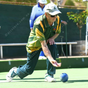 lawnbowls 3017061