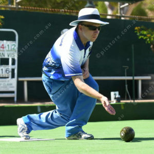 lawnbowls 3017062