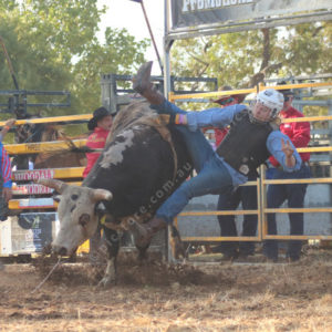 rodeo 3019155