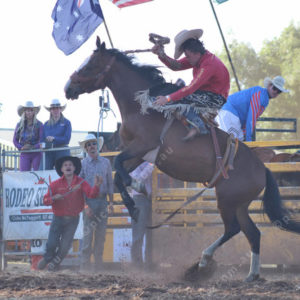 rodeo 3019158