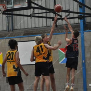 Bball 3039921