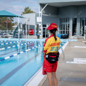 LifeGuard 3048362