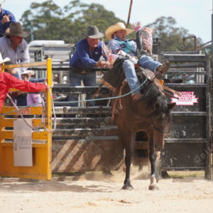 Rodeo 3044211