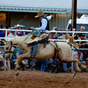 WRodeo1 3029989