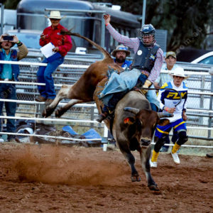 WRodeo1 3029990