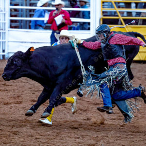 WRodeo1 3029991