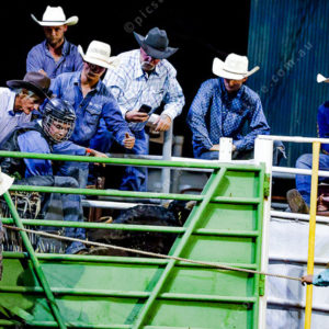 WRodeo1 3029994