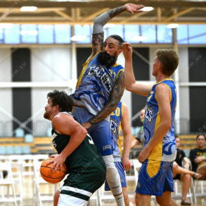 bball1 3039845