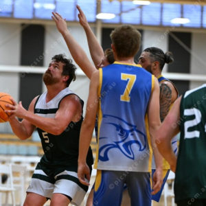 bball1 3039846