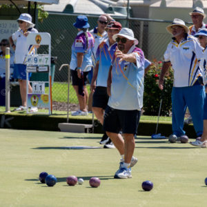 bowls01 3040013