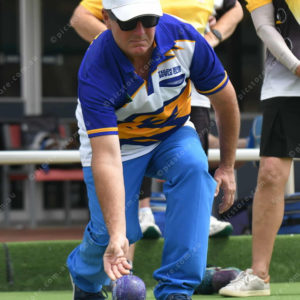 lawnbowls 3046192