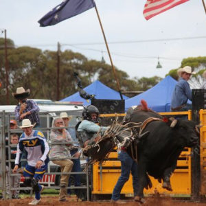 Berrirodeo 3050258