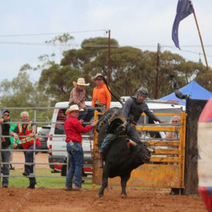Berrirodeo 3050260