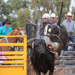 Berrirodeo 3050261