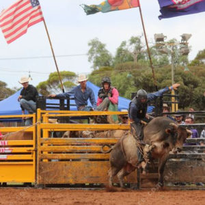 Berrirodeo 3050262