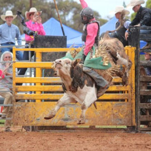 Berrirodeo 3050263