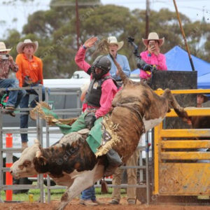 Berrirodeo 3050264