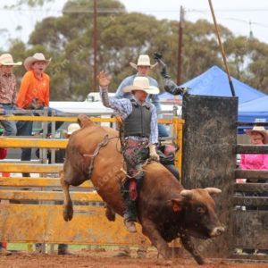 Berrirodeo 3050266
