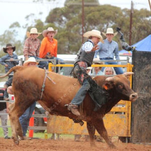 Berrirodeo 3050267