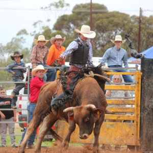 Berrirodeo 3050268