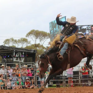 Berrirodeo 3050269