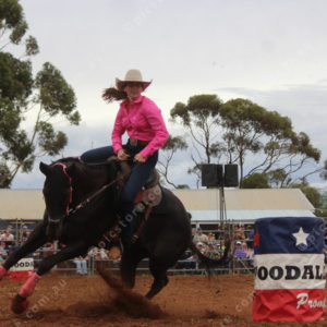Berrirodeo 3050273