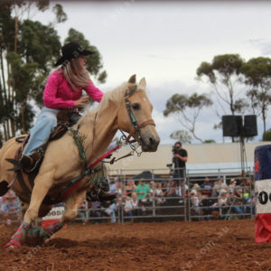 Berrirodeo 3050275