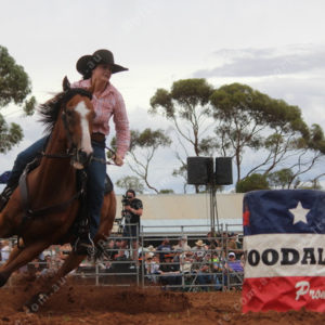 Berrirodeo 3050276