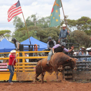 Berrirodeo 3050278