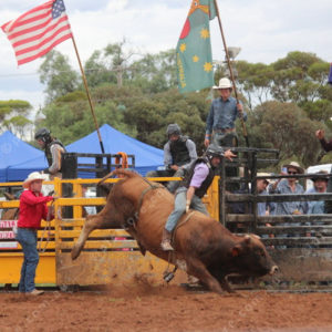 Berrirodeo 3050279
