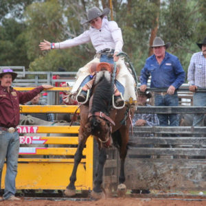 Berrirodeo 3050282