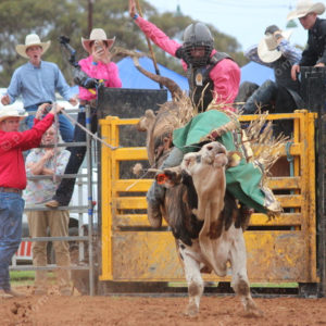Berrirodeo 3050285