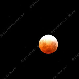 BloodMoon 3054850