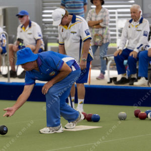 Bowls 3050519
