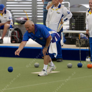 Bowls 3050523