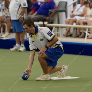Bowls 3050545